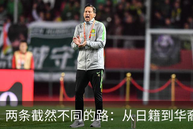 两条截然不同的路：从日籍到华裔的心路历程